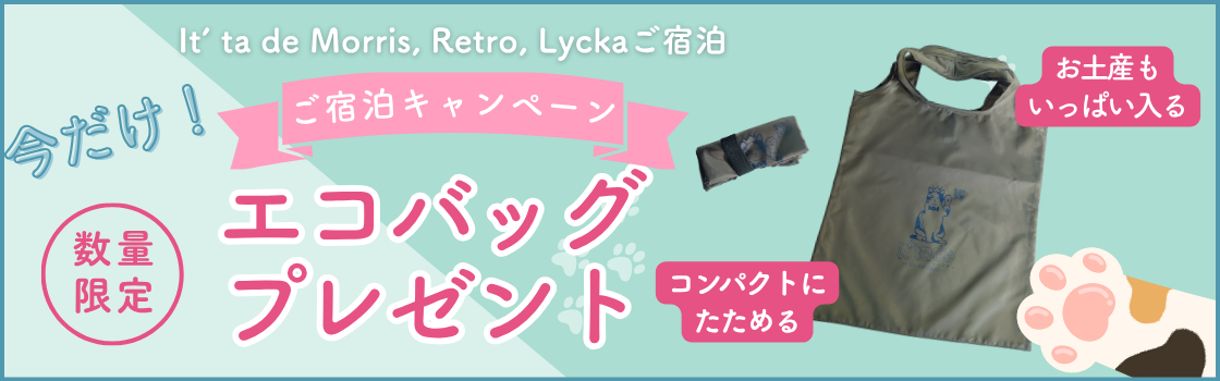 エコバッグプレゼント第2弾